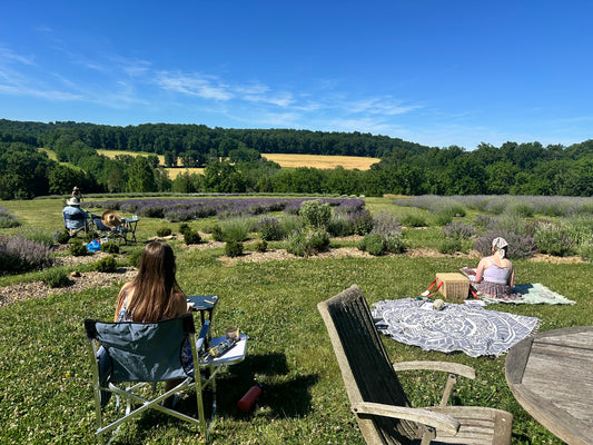 (PAST EVENT) Plein-air painting at lavender farm